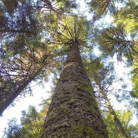 Schuhmacherwerkstatt Wilhelm Wendel Appartamento Loßburg
