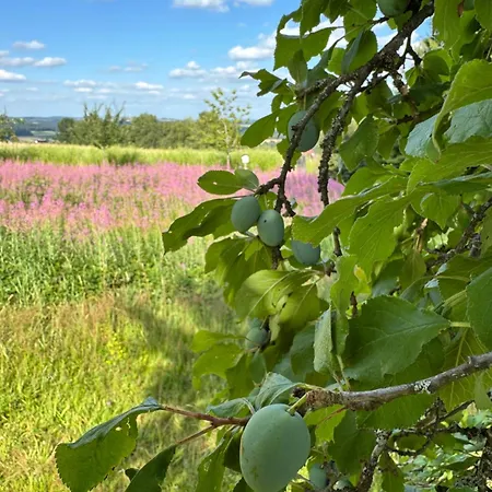 Schuhmacherwerkstatt Wilhelm Wendel Daire *